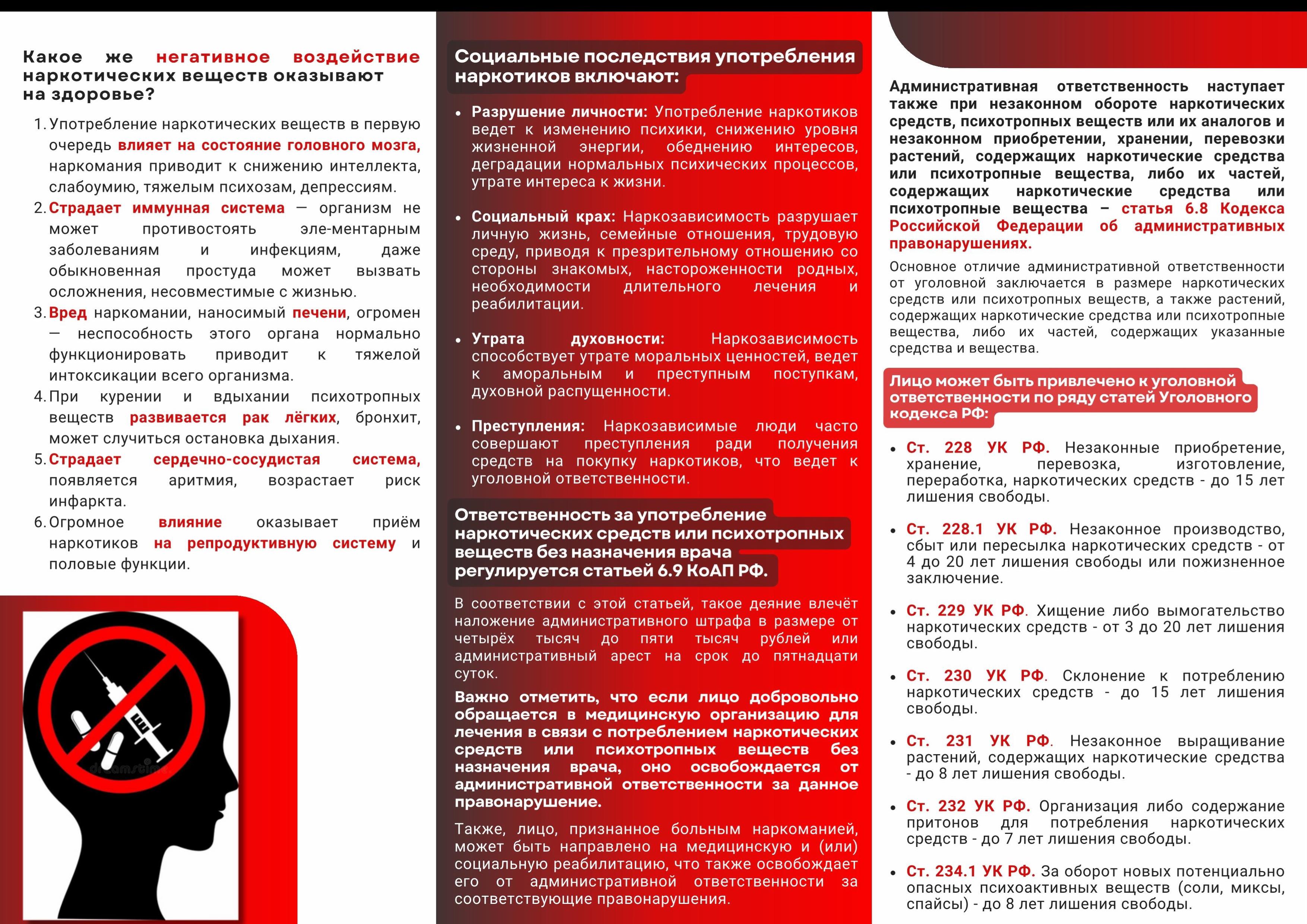 sev mksev.gov.ru изображения 6